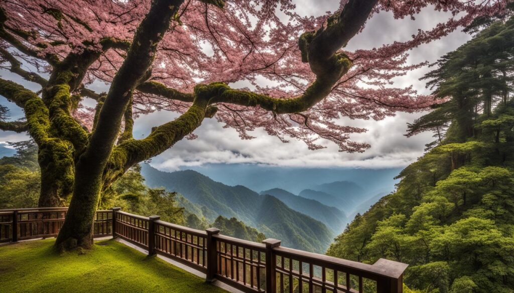 Alishan National Scenic Area Alishan National Scenic Area