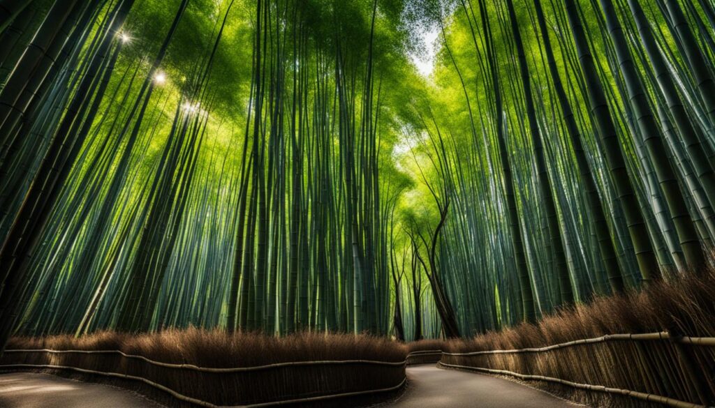 Arashiyama Bamboo Grove Arashiyama Bamboo Grove