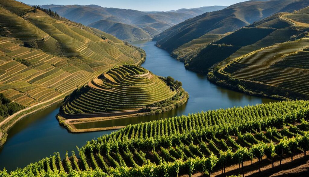 Douro Valley Douro Valley