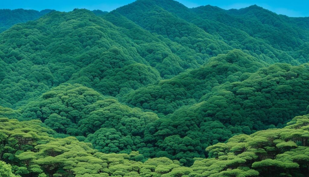 Eco-conscious experiences in Nara Eco-conscious experiences in Nara