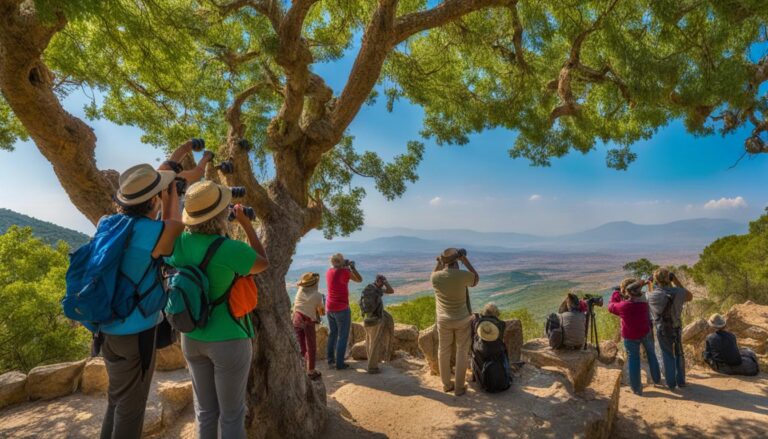 Ephesus birdwatching and wildlife spotting in the surrounding areas