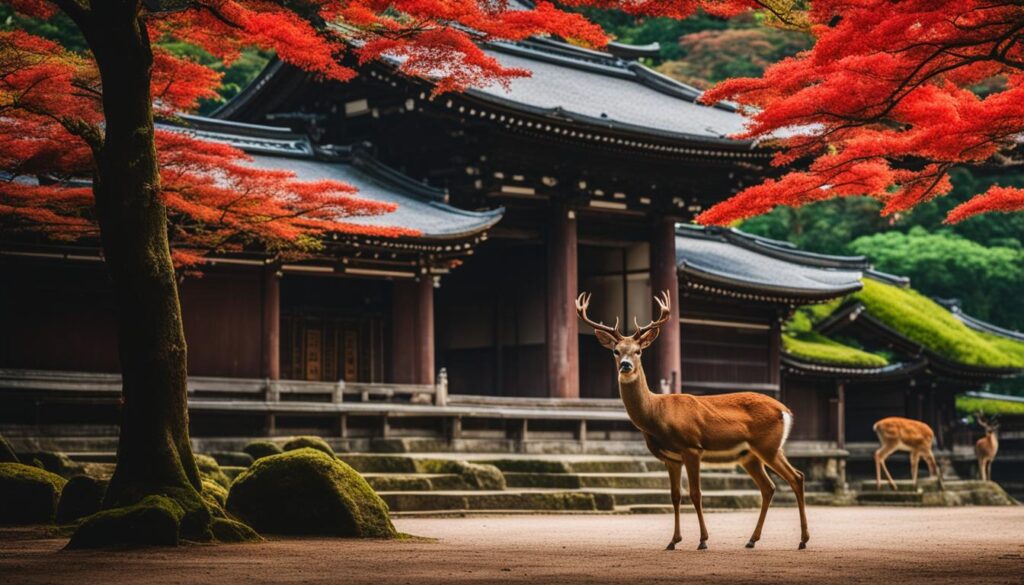 Japan's most photogenic sites Japan's most photogenic sites