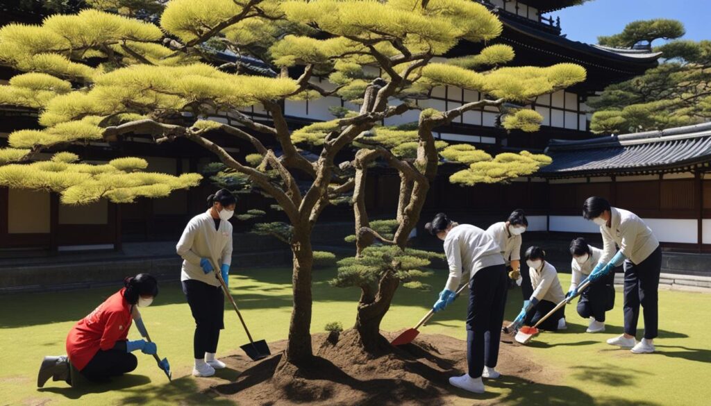 Kyoto Volunteer Projects Kyoto Volunteer Projects