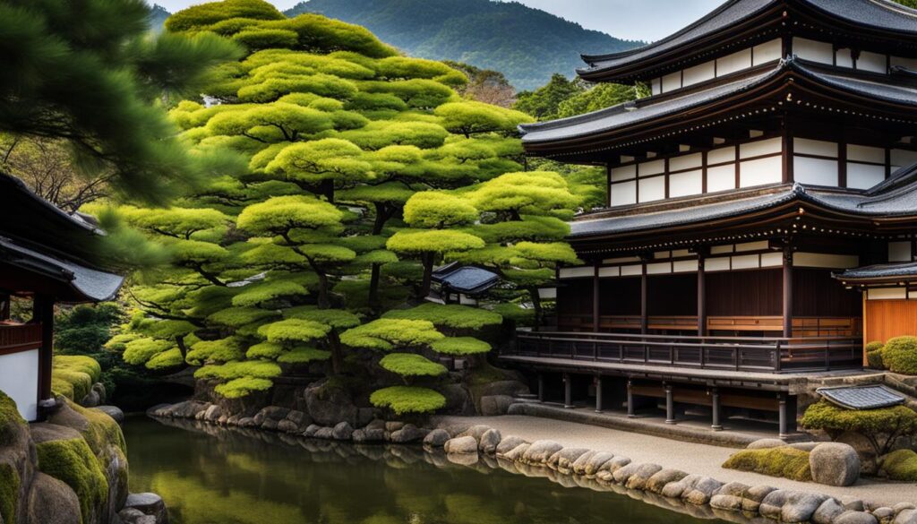 Kyoto cultural experience Kyoto cultural experience