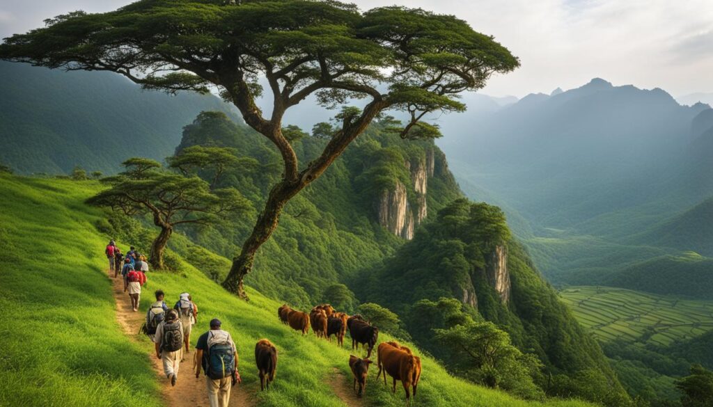Nandi Hills tourist attractions Nandi Hills tourist attractions