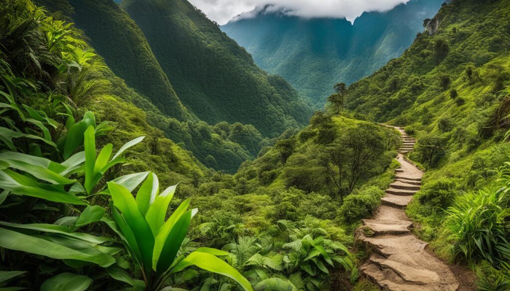 Trekking tours in Chiang Mai Trekking tours in Chiang Mai
