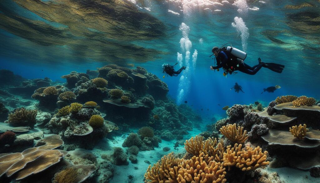 divers exploring a reef in Bodrum divers exploring a reef in Bodrum