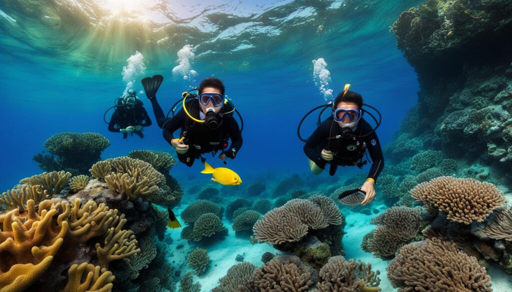 scuba diving packages in Phi Phi Islands scuba diving packages in Phi Phi Islands