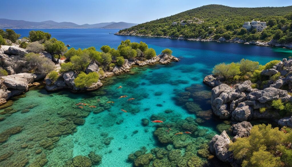 top snorkeling spots in Bodrum top snorkeling spots in Bodrum