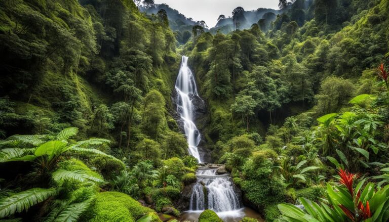 Hidden waterfalls and hiking trails in Cameron Highlands?