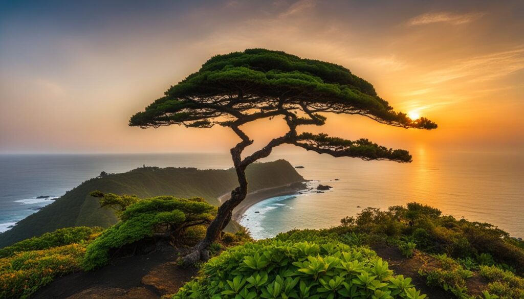 Jeju Island natural beauty Jeju Island natural beauty