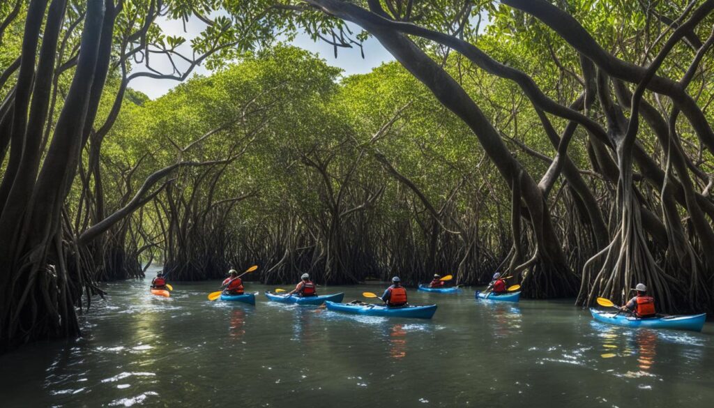 Mangrove Exploration Mangrove Exploration