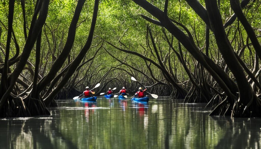 Prek Tuek Chhu River mangroves Prek Tuek Chhu River mangroves