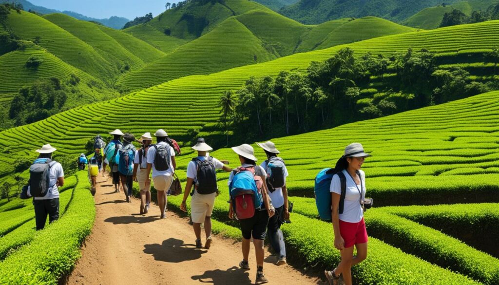 eco-friendly tours in Bandung eco-friendly tours in Bandung