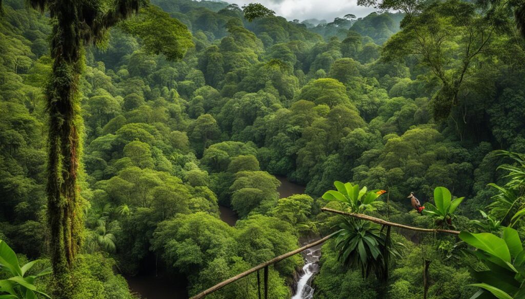 eco-tourism in Indonesia eco-tourism in Indonesia