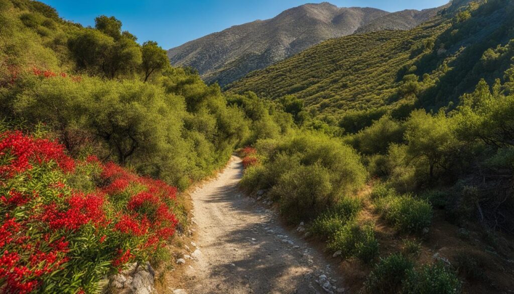hiking destinations in Crete hiking destinations in Crete