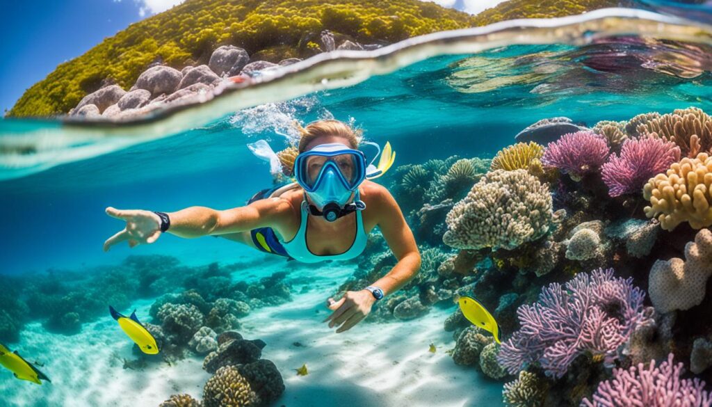 BVI snorkeling BVI snorkeling