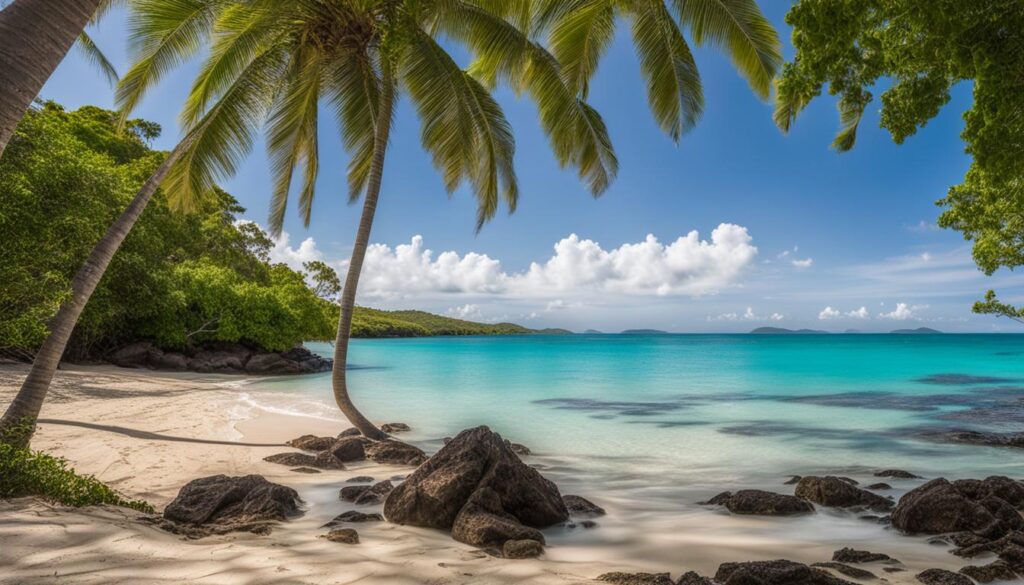 Beach in Vieques Beach in Vieques