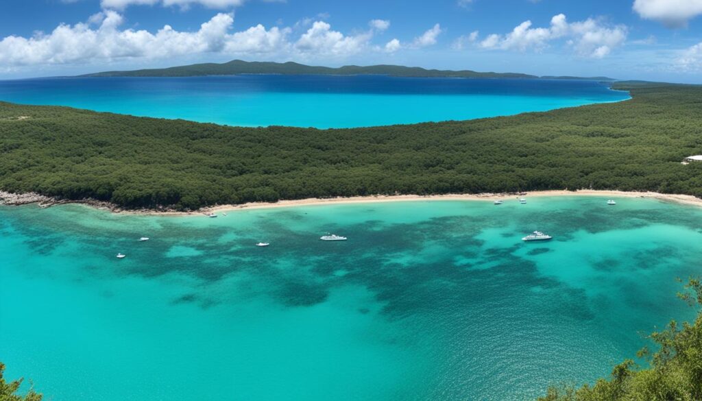 Best things to do in Vieques Best things to do in Vieques