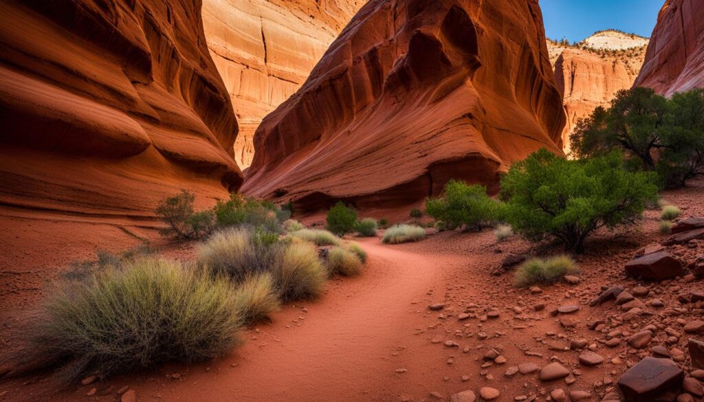 Capitol Reef National Park Capitol Reef National Park