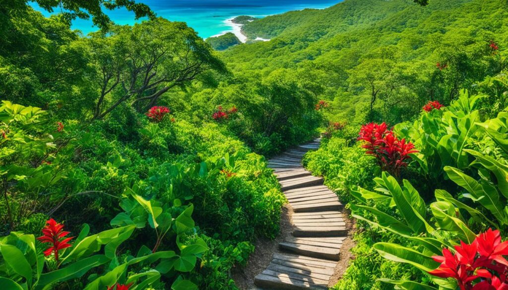 Carriacou Hiking Trail View Carriacou Hiking Trail View