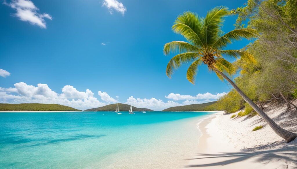 Culebra Culebra