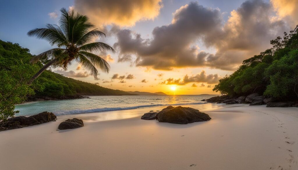 Culebra Wildlife Culebra Wildlife