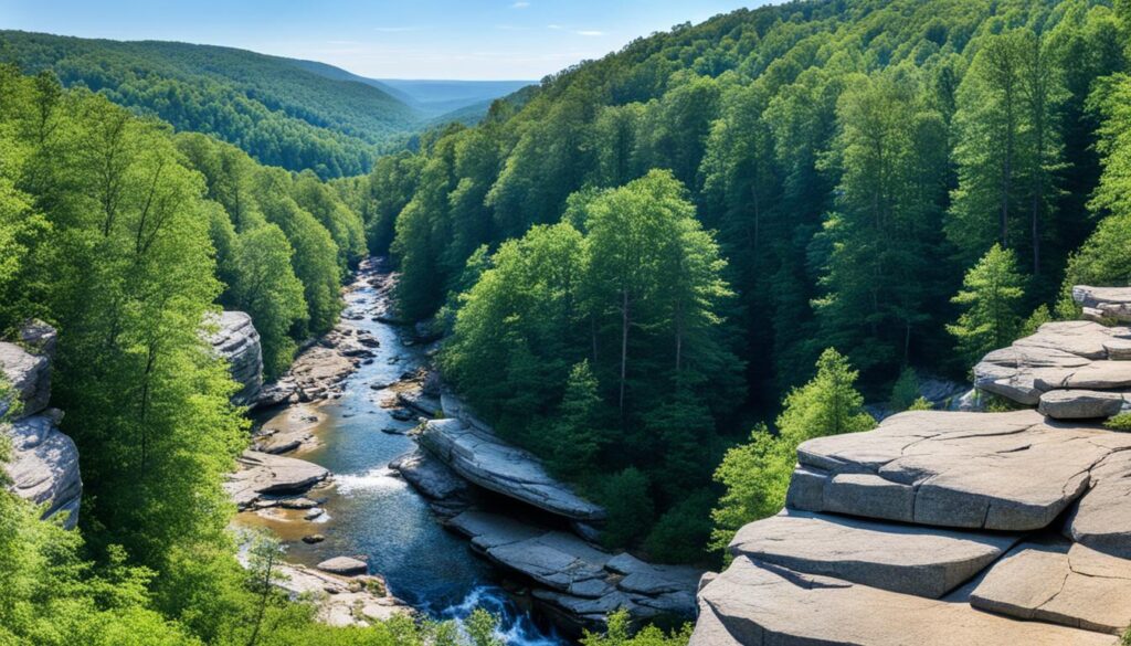 Daniel Boone National Forest Daniel Boone National Forest