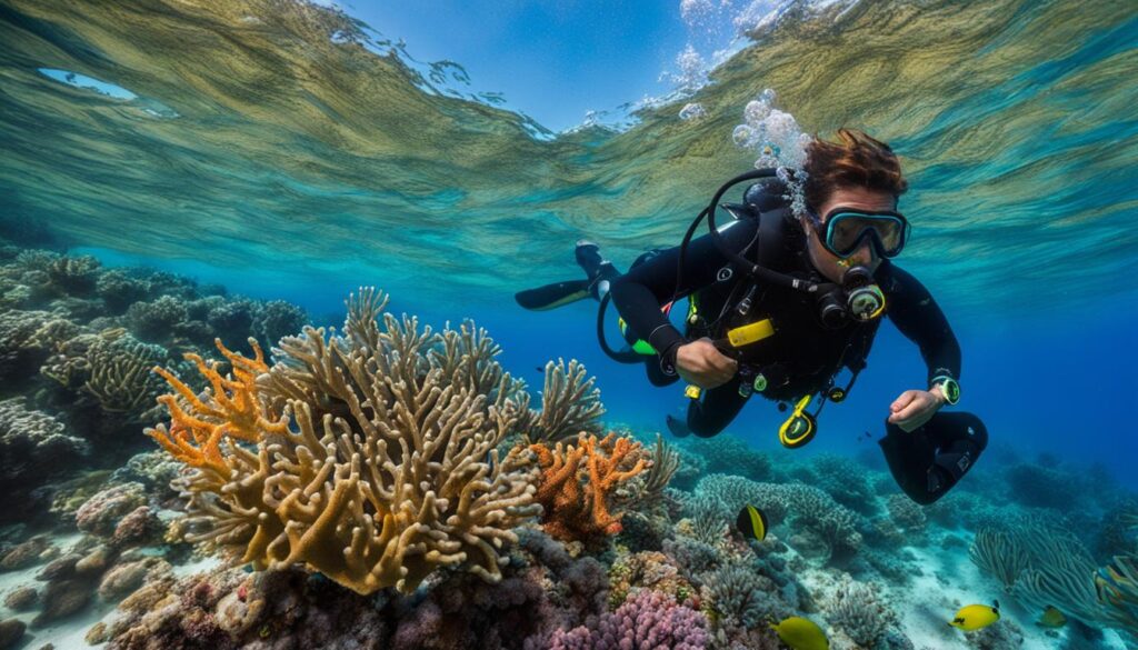 Jost Van Dyke scuba diving Jost Van Dyke scuba diving