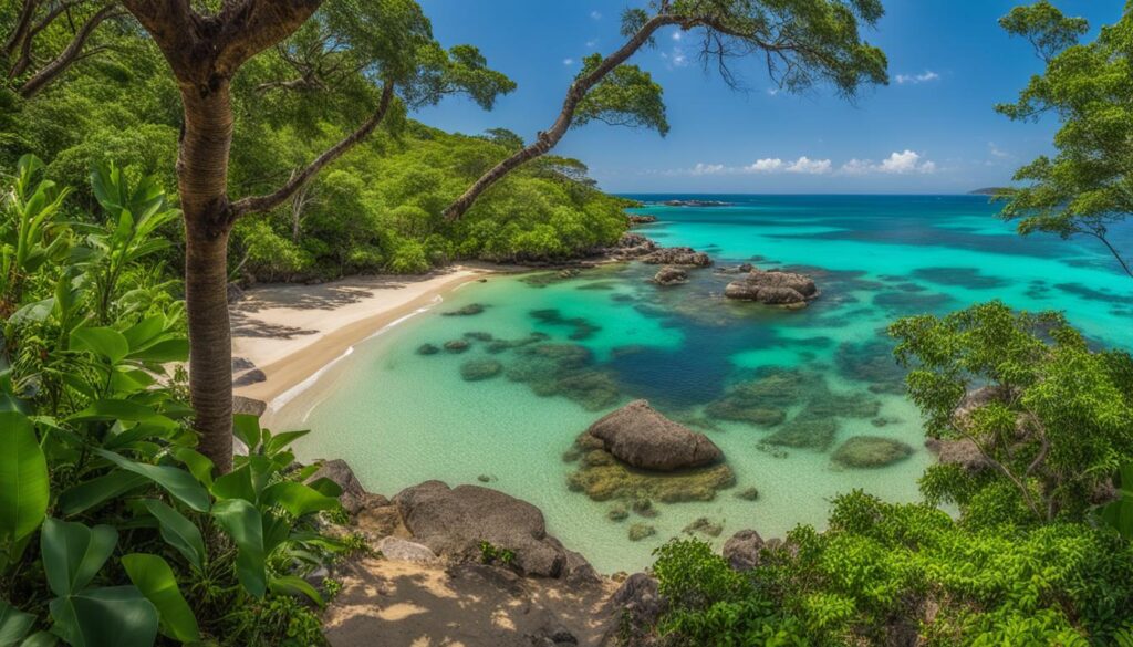 Mambo Beach Wildlife Sanctuaries Mambo Beach Wildlife Sanctuaries