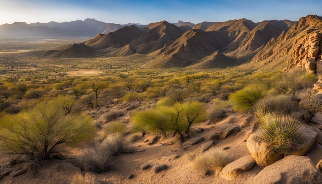 Must-see attractions in Phoenix Must-see attractions in Phoenix