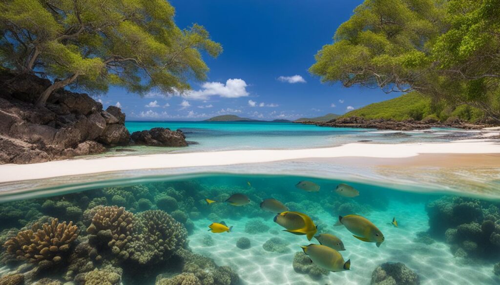 Must-visit attractions in Culebra Must-visit attractions in Culebra