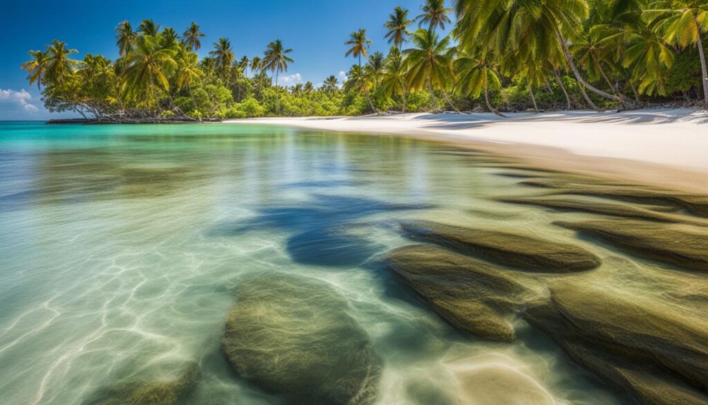 Must-visit places in Rodney Bay Must-visit places in Rodney Bay
