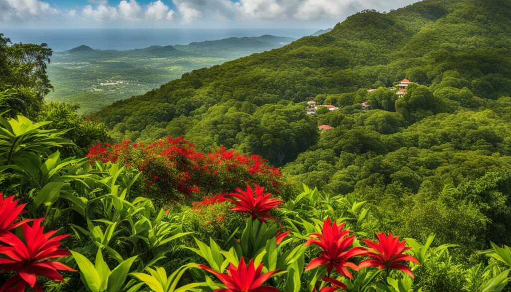 Nine Mile Jamaican Landmark Image Nine Mile Jamaican Landmark Image