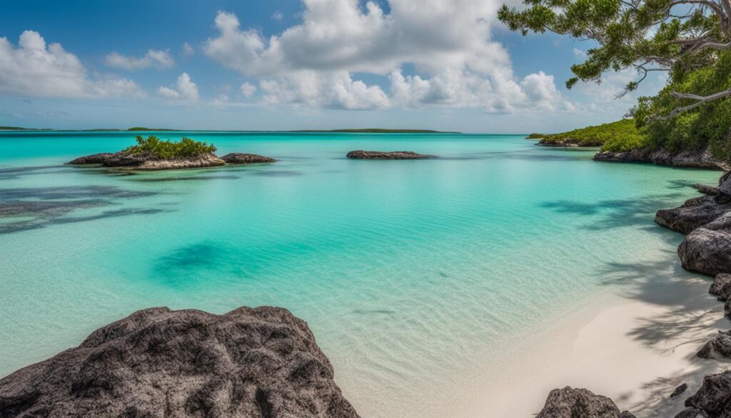 Pig Beach Pig Beach