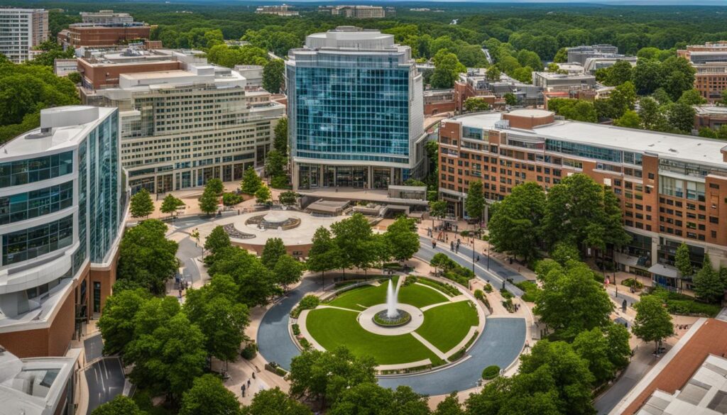 Silver Spring Attraction Silver Spring Attraction