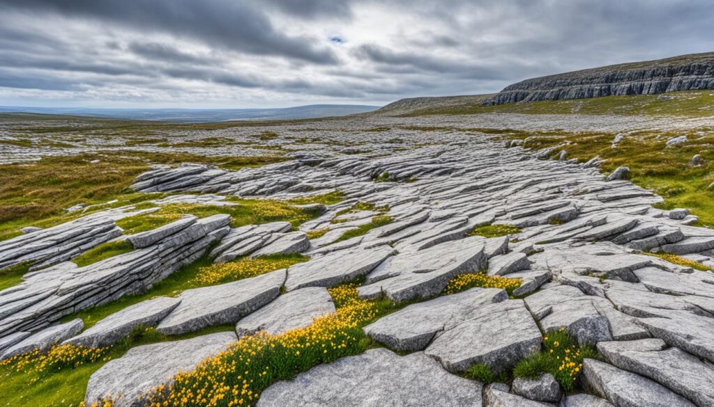 The Burren The Burren