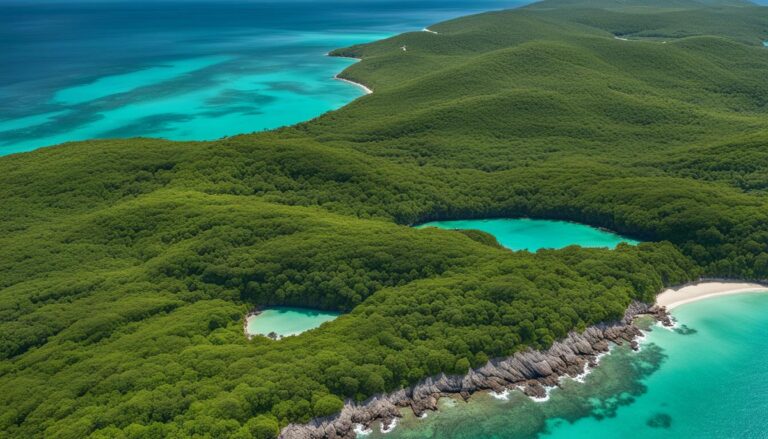 Top 10 Things to Do in Vieques