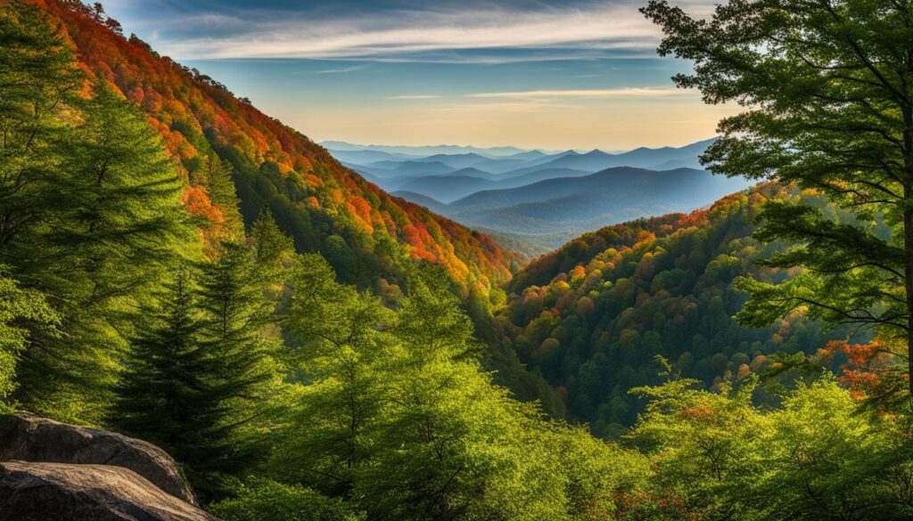 Top attractions in Asheville for a 5-day trip Top attractions in Asheville for a 5-day trip
