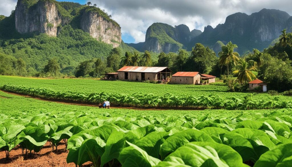 Viñales tours Viñales tours
