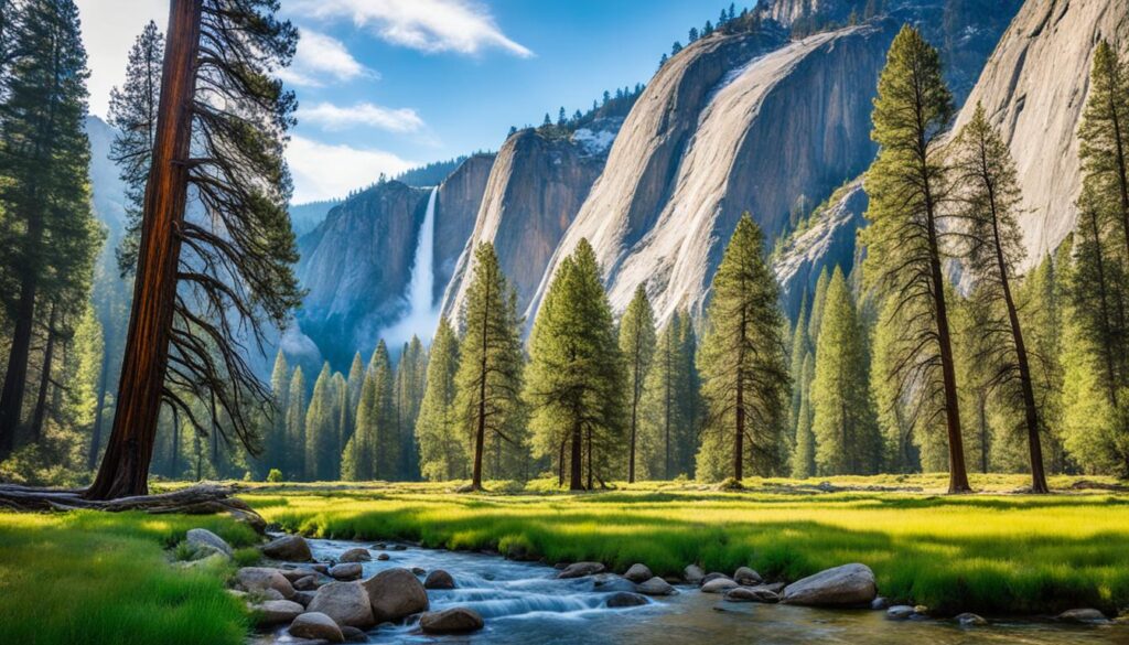 Yosemite National Park Yosemite National Park