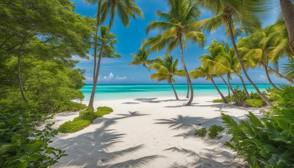 best of Orient Bay best of Orient Bay