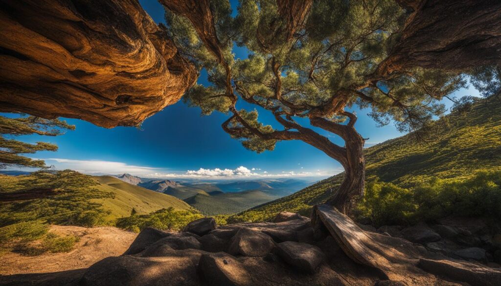 composition tips for travel photography composition tips for travel photography