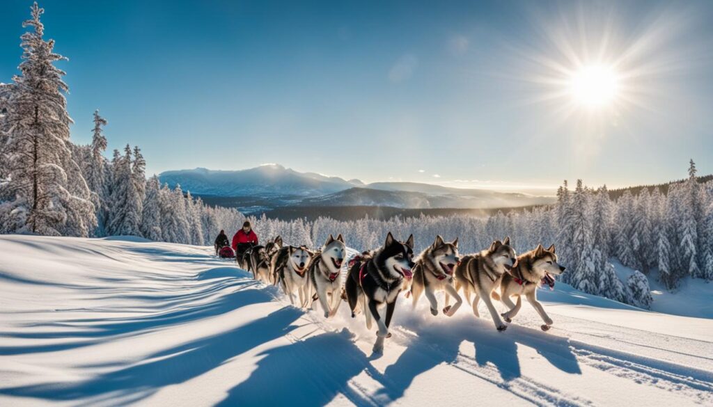 dog sledding vacations Sweden dog sledding vacations Sweden