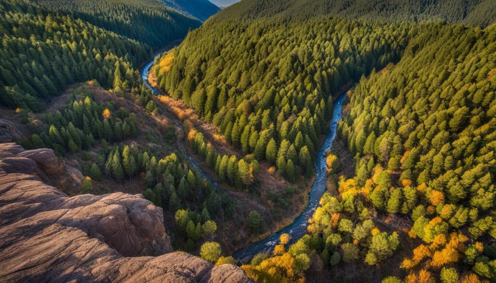 explore New Mexico explore New Mexico