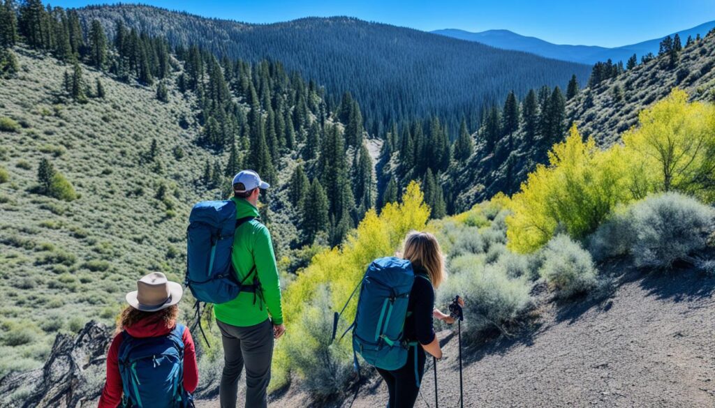 Affordable Reno travel tips Affordable Reno travel tips
