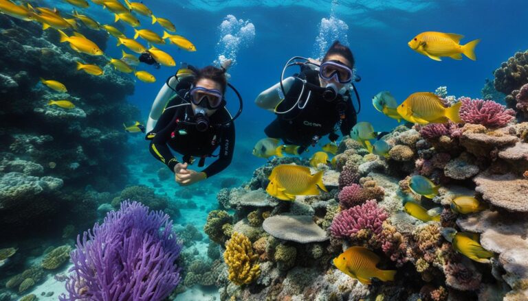 Affordable diving experiences in Cancun