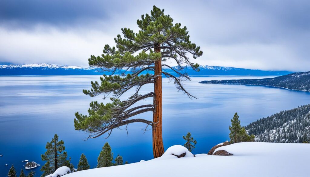 April snowfall in Lake Tahoe April snowfall in Lake Tahoe