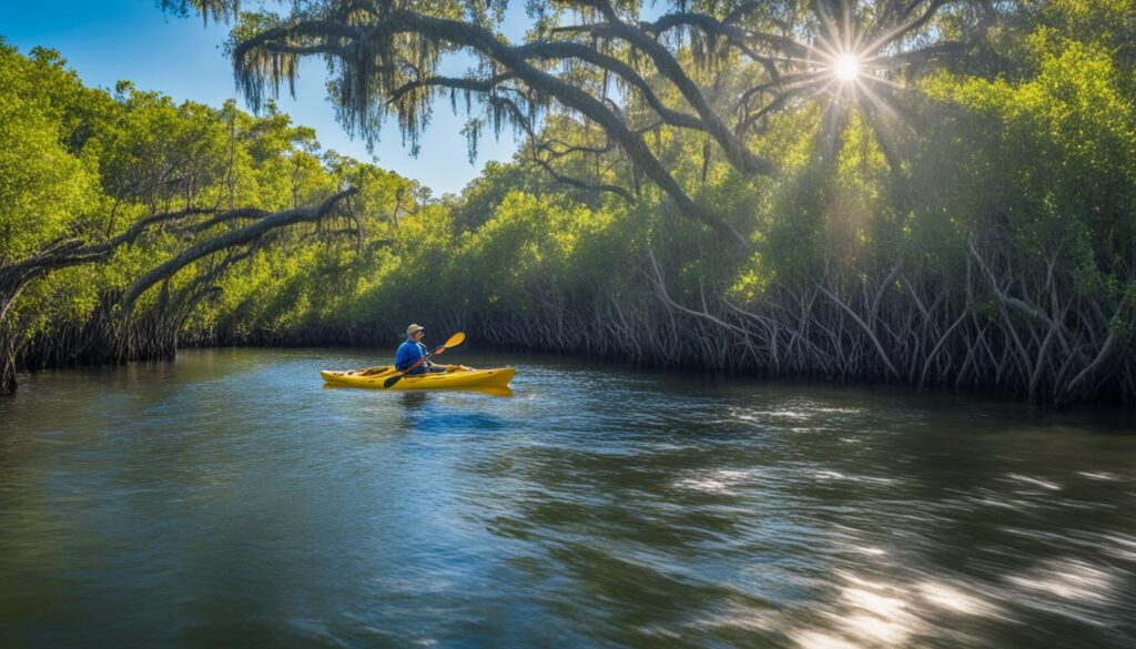 Best Kayaking Tours in Tampa Mangroves Best Kayaking Tours in Tampa Mangroves
