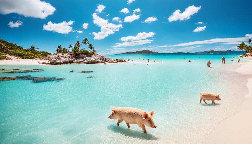 Best Pig Beach Tours Near Nassau Best Pig Beach Tours Near Nassau
